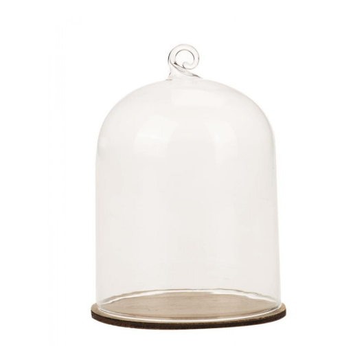 Glass bell jar with hanger on wooden plate